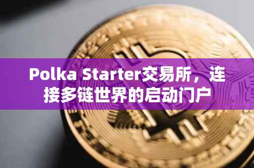 Polka Starter交易所，连接多链世界的启动门户
