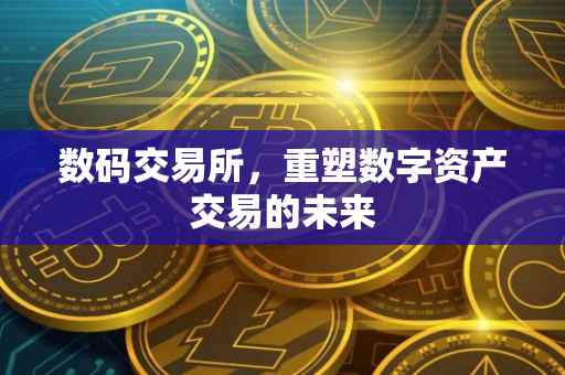 数码交易所，重塑数字资产交易的未来
