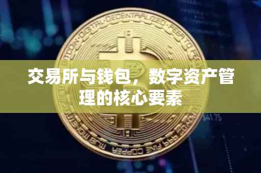 交易所与钱包，数字资产管理的核心要素
