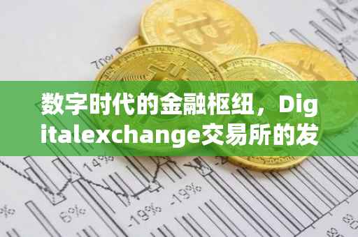 数字时代的金融枢纽，Digitalexchange交易所的发展与创新