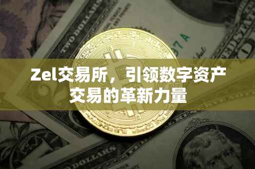 Zel交易所，引领数字资产交易的革新力量