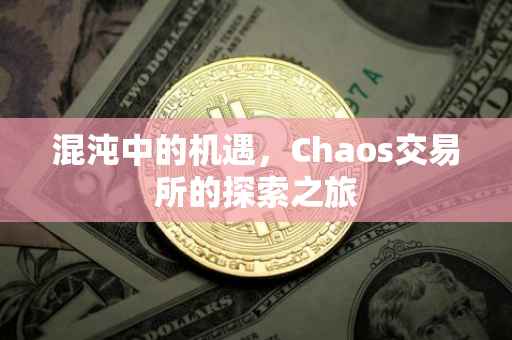 混沌中的机遇，Chaos交易所的探索之旅