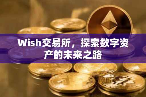 Wish交易所，探索数字资产的未来之路