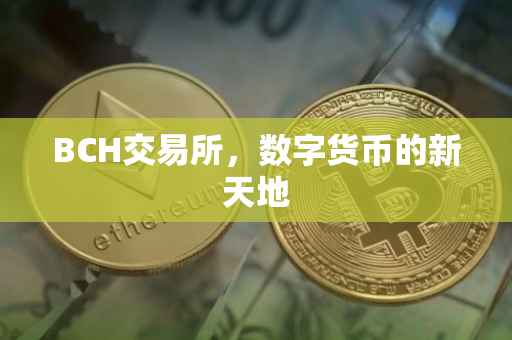 BCH交易所，数字货币的新天地