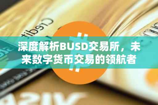 深度解析BUSD交易所，未来数字货币交易的领航者