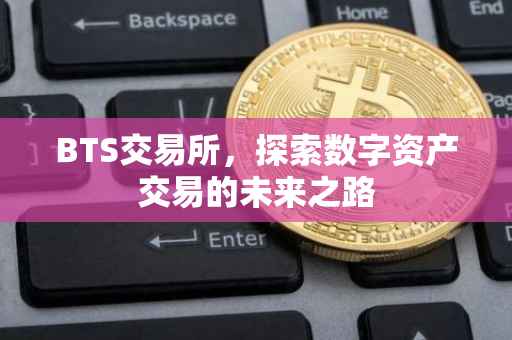BTS交易所，探索数字资产交易的未来之路