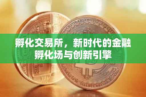 孵化交易所，新时代的金融孵化场与创新引擎