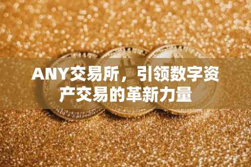 ANY交易所，引领数字资产交易的革新力量