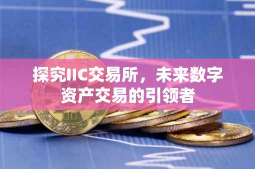 探究IIC交易所，未来数字资产交易的引领者