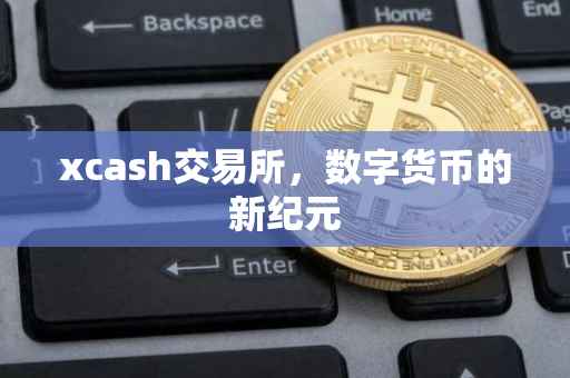 xcash交易所，数字货币的新纪元