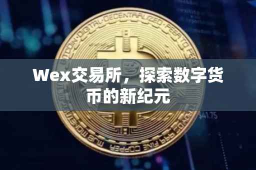 Wex交易所，探索数字货币的新纪元