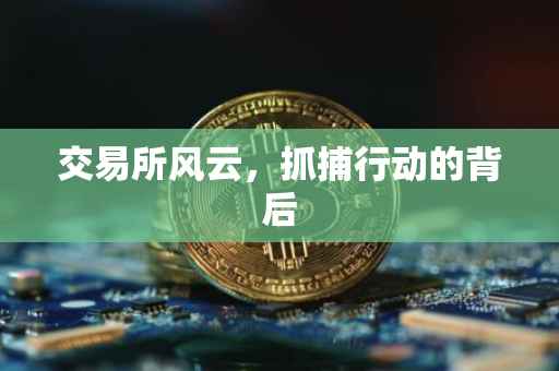 交易所风云，抓捕行动的背后