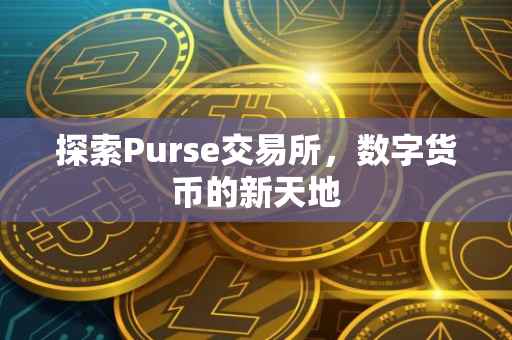 探索Purse交易所，数字货币的新天地