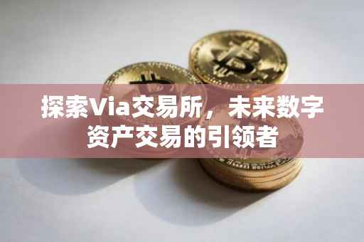 探索Via交易所，未来数字资产交易的引领者