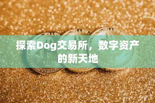 探索Dog交易所，数字资产的新天地