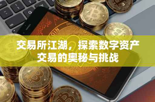 交易所江湖，探索数字资产交易的奥秘与挑战