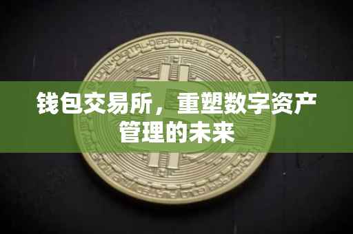 钱包交易所，重塑数字资产管理的未来