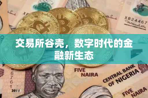 交易所谷壳，数字时代的金融新生态