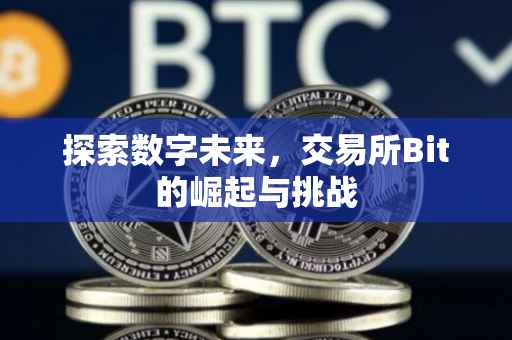 探索数字未来，交易所Bit的崛起与挑战