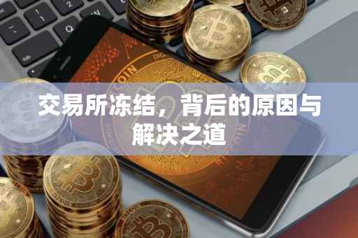 交易所冻结，背后的原因与解决之道