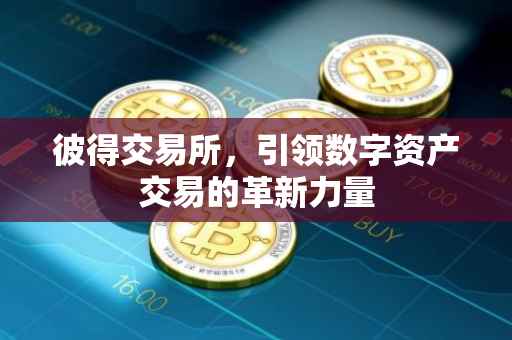 彼得交易所，引领数字资产交易的革新力量