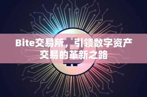 Bite交易所，引领数字资产交易的革新之路