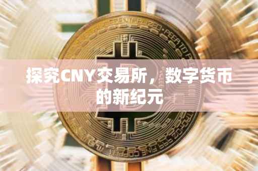 探究CNY交易所，数字货币的新纪元
