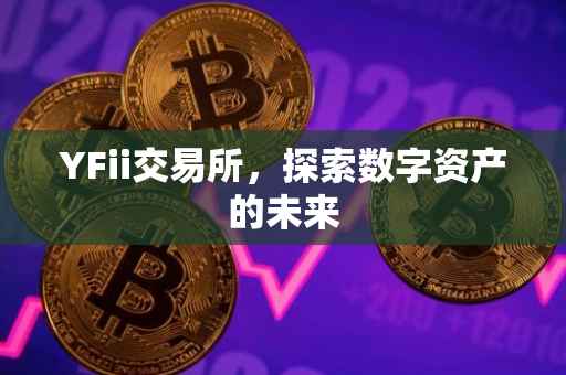 YFii交易所，探索数字资产的未来
