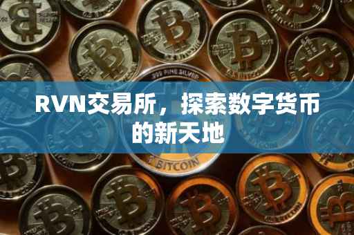 RVN交易所，探索数字货币的新天地