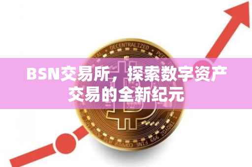 BSN交易所，探索数字资产交易的全新纪元