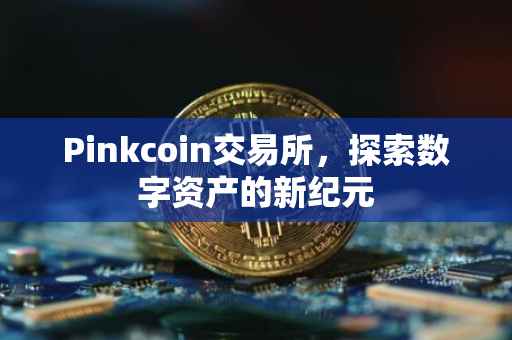 Pinkcoin交易所，探索数字资产的新纪元