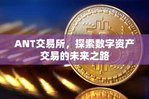 ANT交易所，探索数字资产交易的未来之路