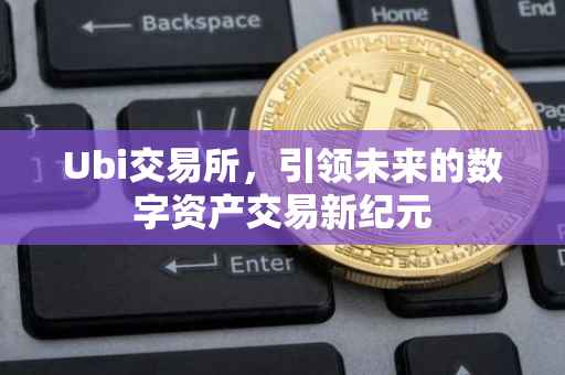 Ubi交易所，引领未来的数字资产交易新纪元