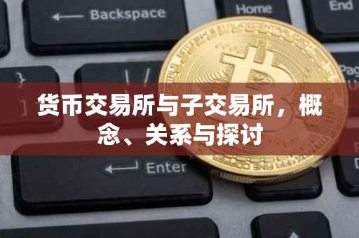 货币交易所与子交易所，概念、关系与探讨