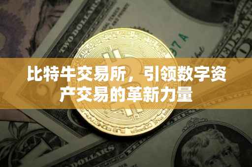 比特牛交易所，引领数字资产交易的革新力量