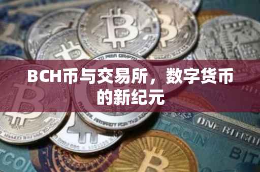 BCH币与交易所，数字货币的新纪元