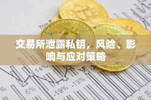 交易所泄露私钥，风险、影响与应对策略