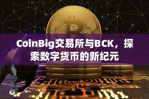 CoinBig交易所与BCK，探索数字货币的新纪元
