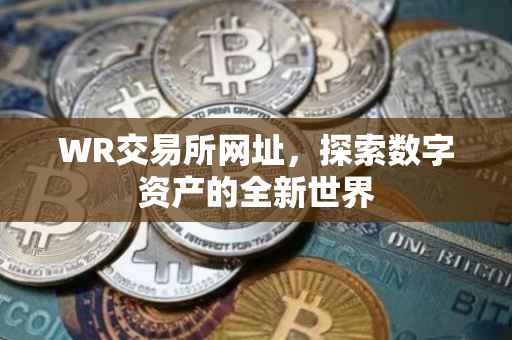 WR交易所网址，探索数字资产的全新世界
