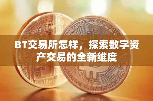 BT交易所怎样，探索数字资产交易的全新维度