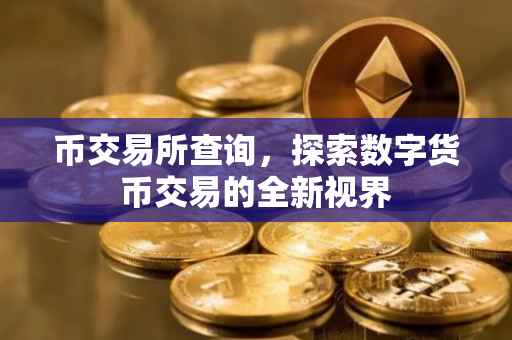 币交易所查询，探索数字货币交易的全新视界