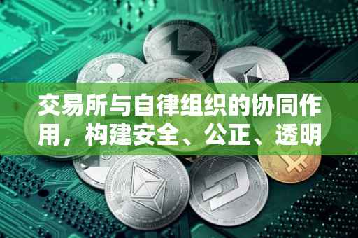交易所与自律组织的协同作用，构建安全、公正、透明的交易环境