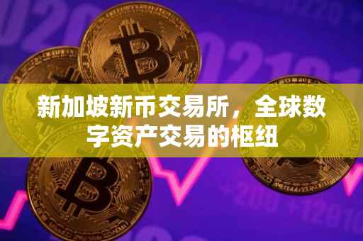 新加坡新币交易所，全球数字资产交易的枢纽