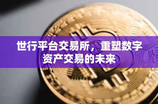 世行平台交易所，重塑数字资产交易的未来