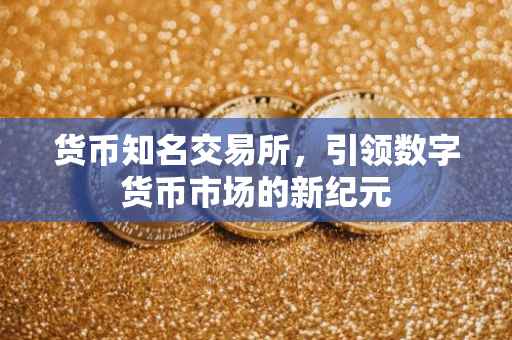 货币知名交易所，引领数字货币市场的新纪元
