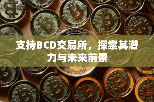 支持BCD交易所，探索其潜力与未来前景