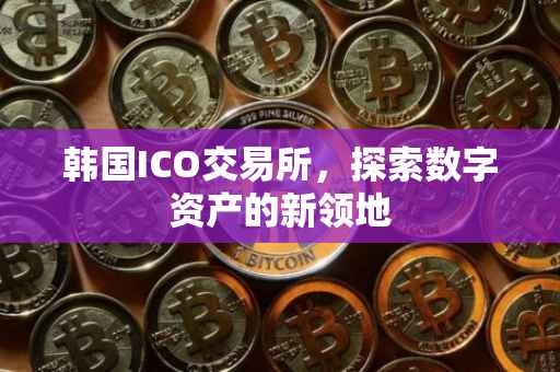 韩国ICO交易所，探索数字资产的新领地