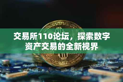 交易所110论坛，探索数字资产交易的全新视界
