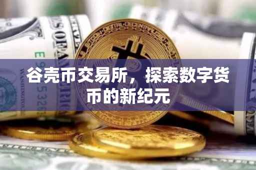 谷壳币交易所，探索数字货币的新纪元