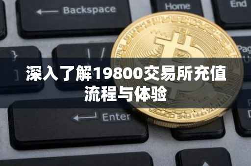 深入了解19800交易所充值流程与体验